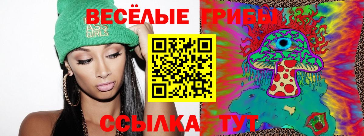 Бийск  Псилоцибиновые грибы Psilocybe  Вход с VPN 